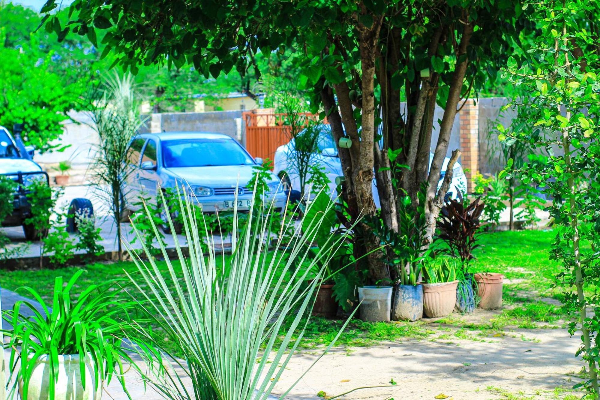 Golentle Home Stay Maun Exterior foto